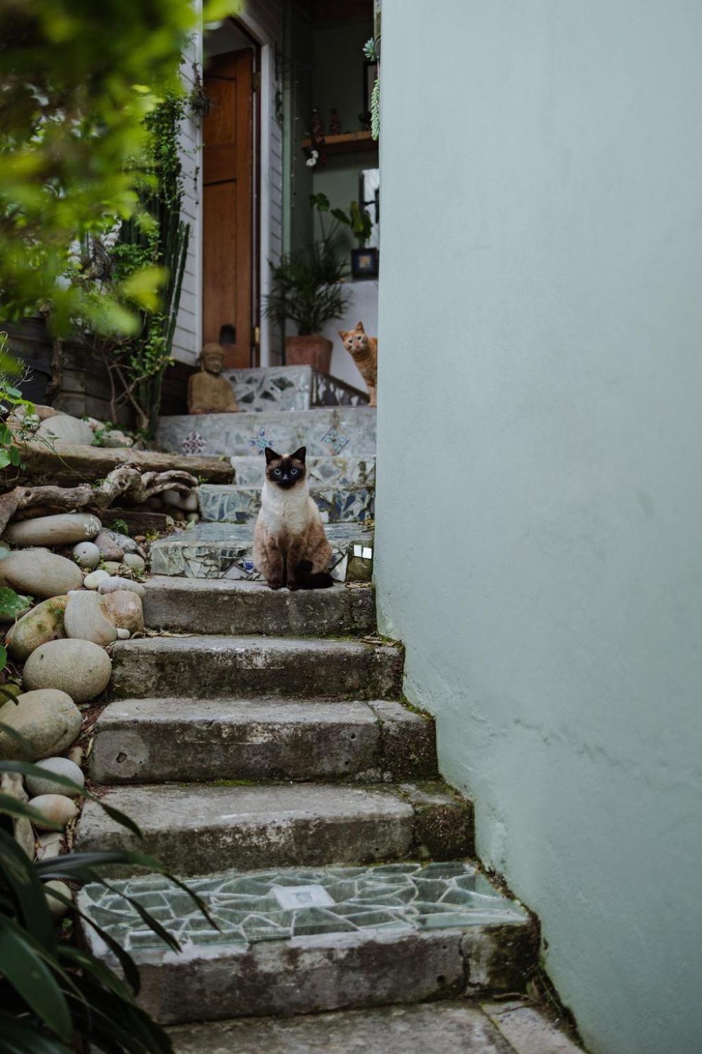 Radium Hall Guest House Cape Town Ngoại thất bức ảnh