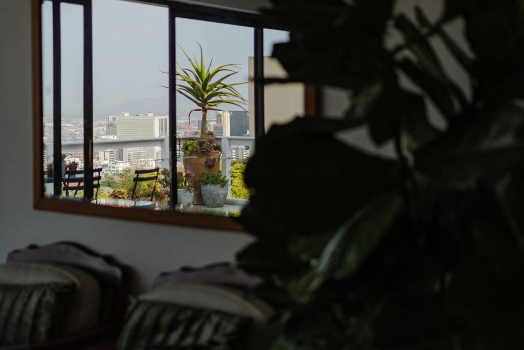 Radium Hall Guest House Cape Town Ngoại thất bức ảnh