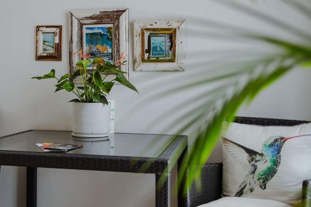 Radium Hall Guest House Cape Town Ngoại thất bức ảnh