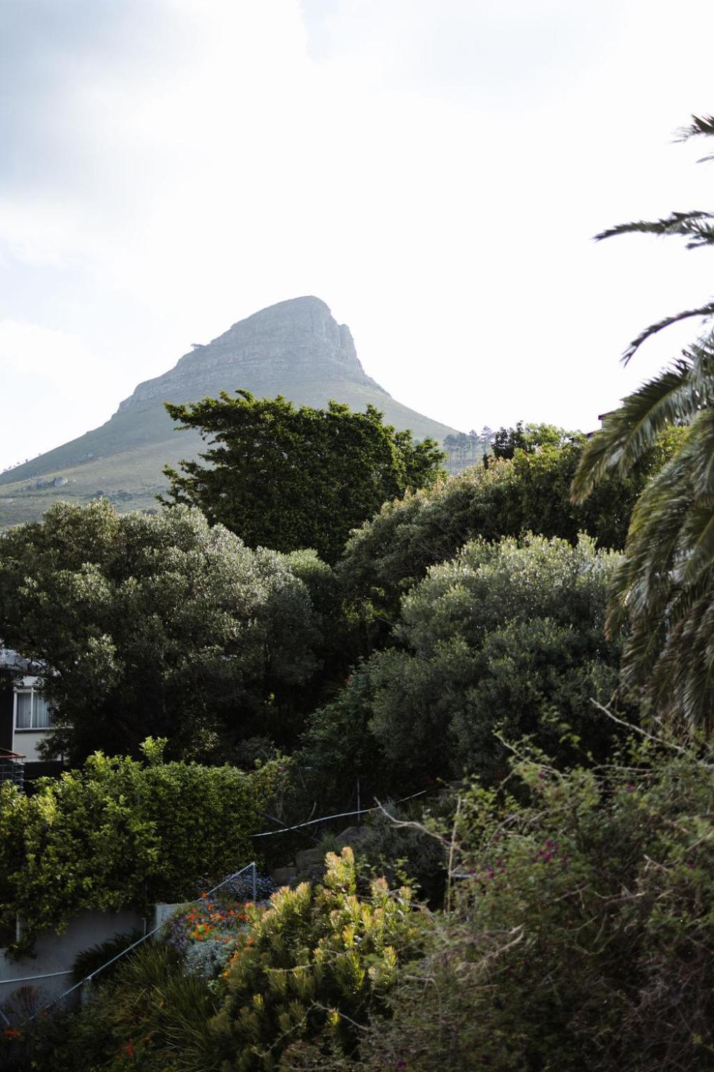 Radium Hall Guest House Cape Town Ngoại thất bức ảnh
