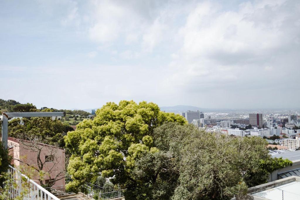 Radium Hall Guest House Cape Town Ngoại thất bức ảnh